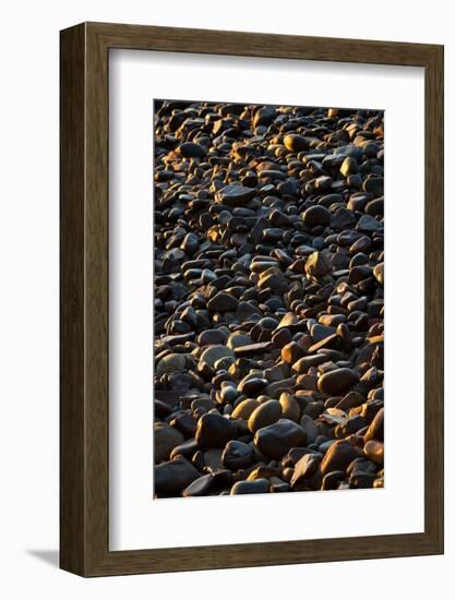 Shore Stones-Steve Gadomski-Framed Photographic Print