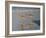 Shore Walkers-Bruce Dumas-Framed Giclee Print