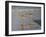 Shore Walkers-Bruce Dumas-Framed Giclee Print