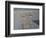 Shore Walkers-Bruce Dumas-Framed Giclee Print