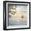 Shore Winds-Paulo Romero-Framed Art Print