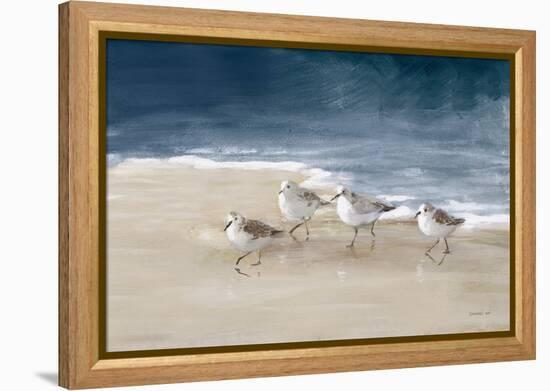 Shorebirds on Sand I Blue-Danhui Nai-Framed Stretched Canvas