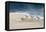 Shorebirds on Sand I Blue-Danhui Nai-Framed Stretched Canvas