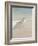 Shorebirds on the Sand II-Danhui Nai-Framed Art Print