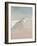 Shorebirds on the Sand II-Danhui Nai-Framed Art Print