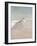 Shorebirds on the Sand II-Danhui Nai-Framed Art Print