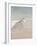 Shorebirds on the Sand II-Danhui Nai-Framed Art Print