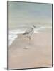 Shorebirds on the Sand II-Danhui Nai-Mounted Art Print
