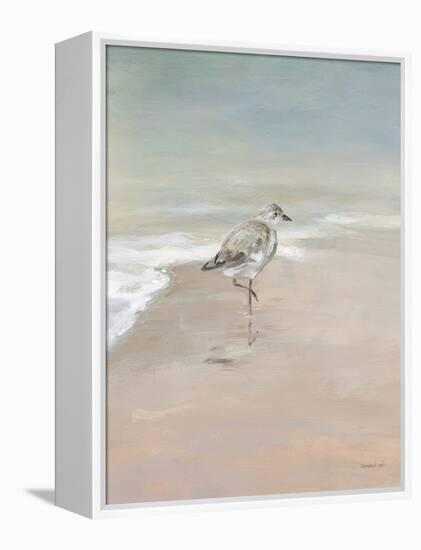 Shorebirds on the Sand II-Danhui Nai-Framed Stretched Canvas
