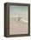 Shorebirds on the Sand III-Danhui Nai-Framed Stretched Canvas