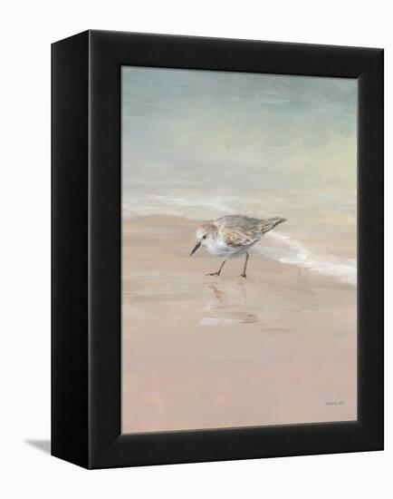 Shorebirds on the Sand III-Danhui Nai-Framed Stretched Canvas