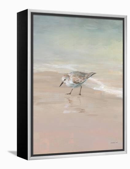 Shorebirds on the Sand III-Danhui Nai-Framed Stretched Canvas