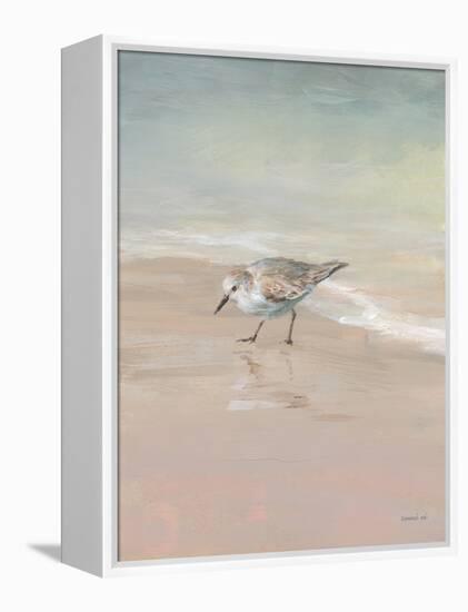 Shorebirds on the Sand III-Danhui Nai-Framed Stretched Canvas