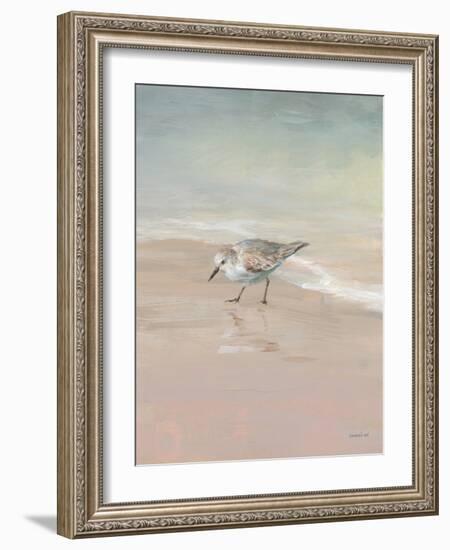 Shorebirds on the Sand III-Danhui Nai-Framed Art Print