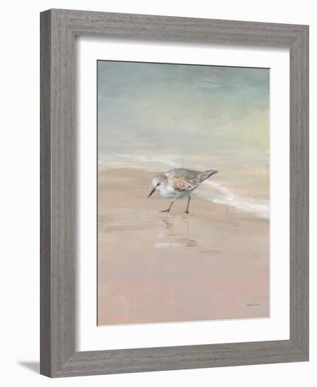 Shorebirds on the Sand III-Danhui Nai-Framed Art Print