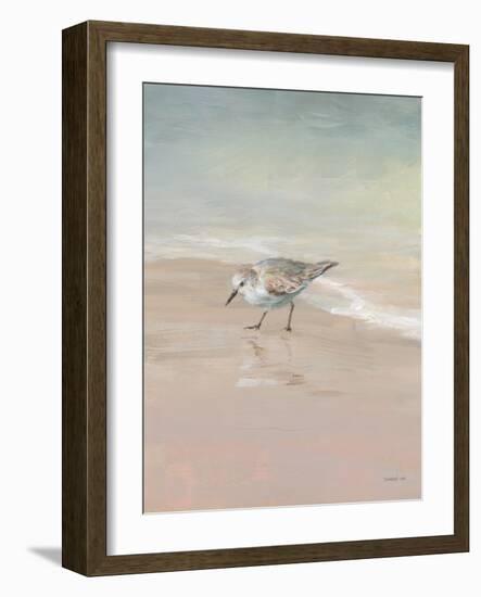 Shorebirds on the Sand III-Danhui Nai-Framed Art Print