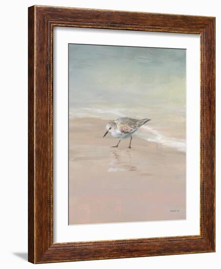Shorebirds on the Sand III-Danhui Nai-Framed Art Print