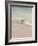 Shorebirds on the Sand III-Danhui Nai-Framed Art Print