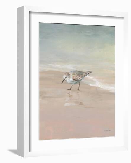 Shorebirds on the Sand III-Danhui Nai-Framed Art Print