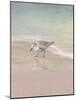 Shorebirds on the Sand III-Danhui Nai-Mounted Art Print