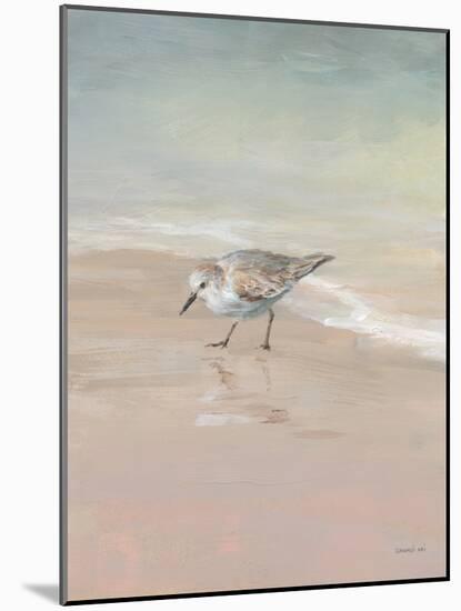 Shorebirds on the Sand III-Danhui Nai-Mounted Art Print