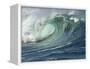 Shorebreak Waves in Waimea Bay-Rick Doyle-Framed Premier Image Canvas