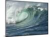 Shorebreak Waves in Waimea Bay-Rick Doyle-Mounted Photographic Print