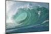 Shorebreak Waves in Waimea Bay-Rick Doyle-Mounted Photographic Print