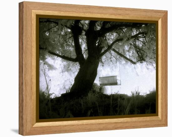 Shoregang-Craig Satterlee-Framed Premier Image Canvas
