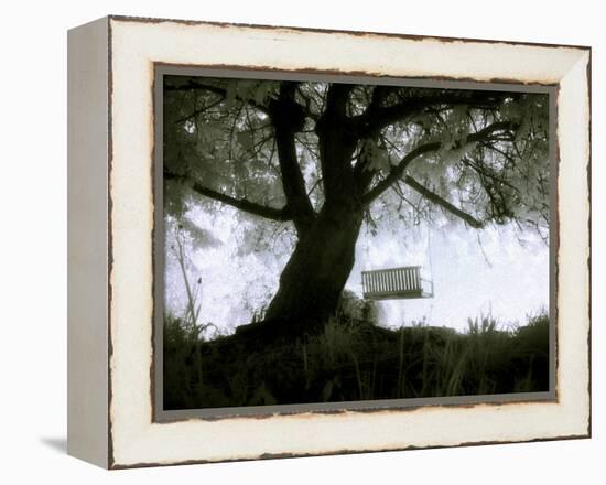 Shoregang-Craig Satterlee-Framed Premier Image Canvas