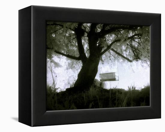 Shoregang-Craig Satterlee-Framed Premier Image Canvas