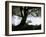 Shoregang-Craig Satterlee-Framed Photographic Print