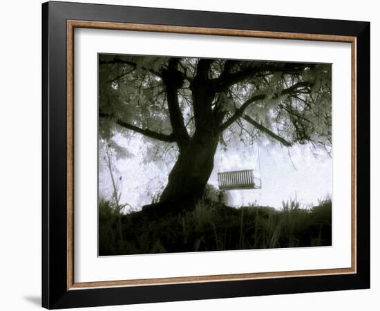 Shoregang-Craig Satterlee-Framed Photographic Print