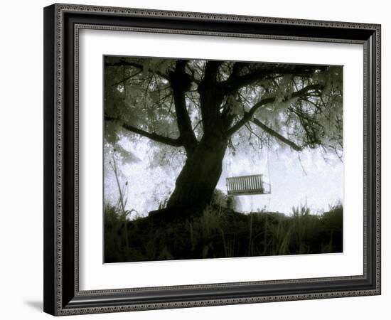 Shoregang-Craig Satterlee-Framed Photographic Print