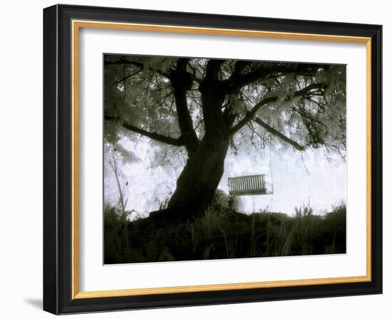 Shoregang-Craig Satterlee-Framed Photographic Print