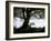 Shoregang-Craig Satterlee-Framed Photographic Print