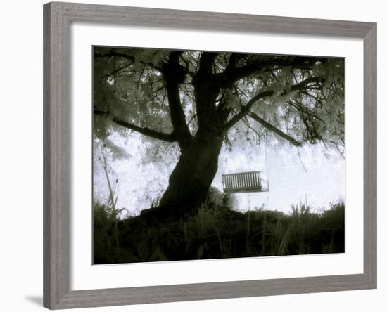 Shoregang-Craig Satterlee-Framed Photographic Print