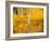 Shoreguild-Craig Satterlee-Framed Photographic Print