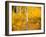 Shoreguild-Craig Satterlee-Framed Photographic Print