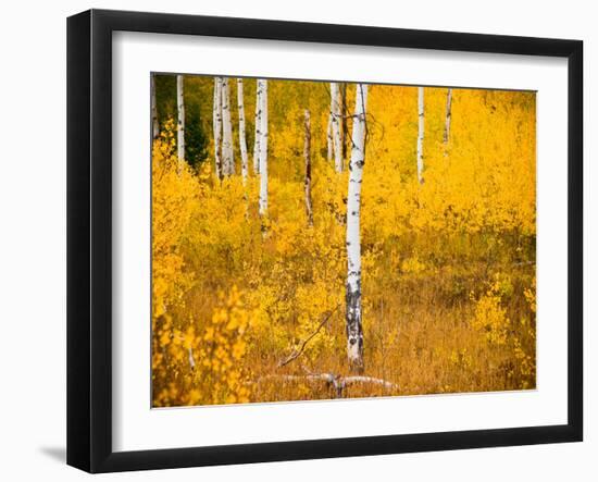 Shoreguild-Craig Satterlee-Framed Photographic Print