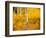 Shoreguild-Craig Satterlee-Framed Photographic Print