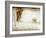 Shoreleague-Craig Satterlee-Framed Photographic Print