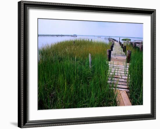 Shoreline and Dock, Chincoteague Island-Mark Gibson-Framed Photographic Print