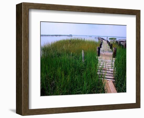 Shoreline and Dock, Chincoteague Island-Mark Gibson-Framed Photographic Print