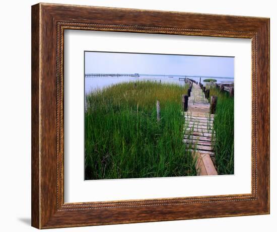 Shoreline and Dock, Chincoteague Island-Mark Gibson-Framed Photographic Print