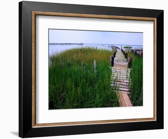 Shoreline and Dock, Chincoteague Island-Mark Gibson-Framed Photographic Print