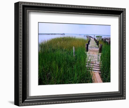 Shoreline and Dock, Chincoteague Island-Mark Gibson-Framed Photographic Print