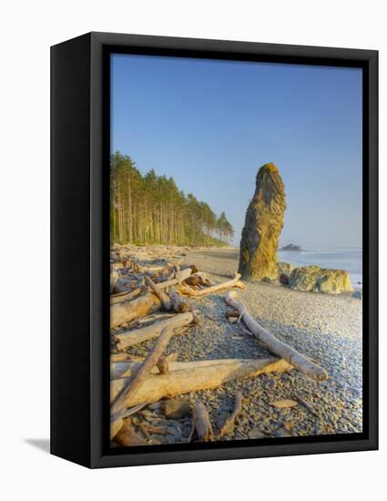Shoreline and Seastacks, Ruby Beach, Olympic National Park, Washington, USA-Jamie & Judy Wild-Framed Premier Image Canvas