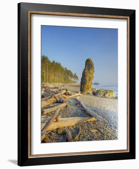 Shoreline and Seastacks, Ruby Beach, Olympic National Park, Washington, USA-Jamie & Judy Wild-Framed Photographic Print