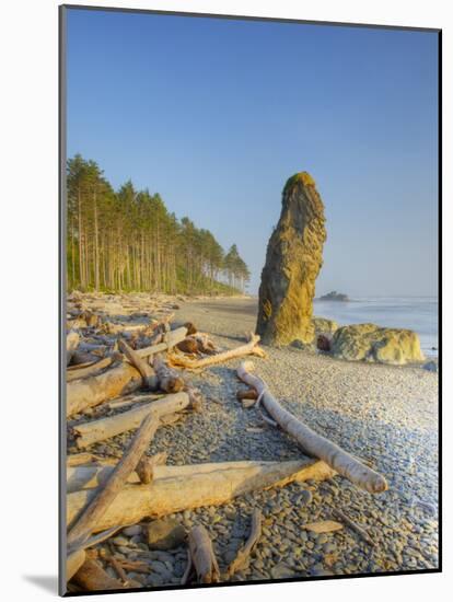 Shoreline and Seastacks, Ruby Beach, Olympic National Park, Washington, USA-Jamie & Judy Wild-Mounted Photographic Print